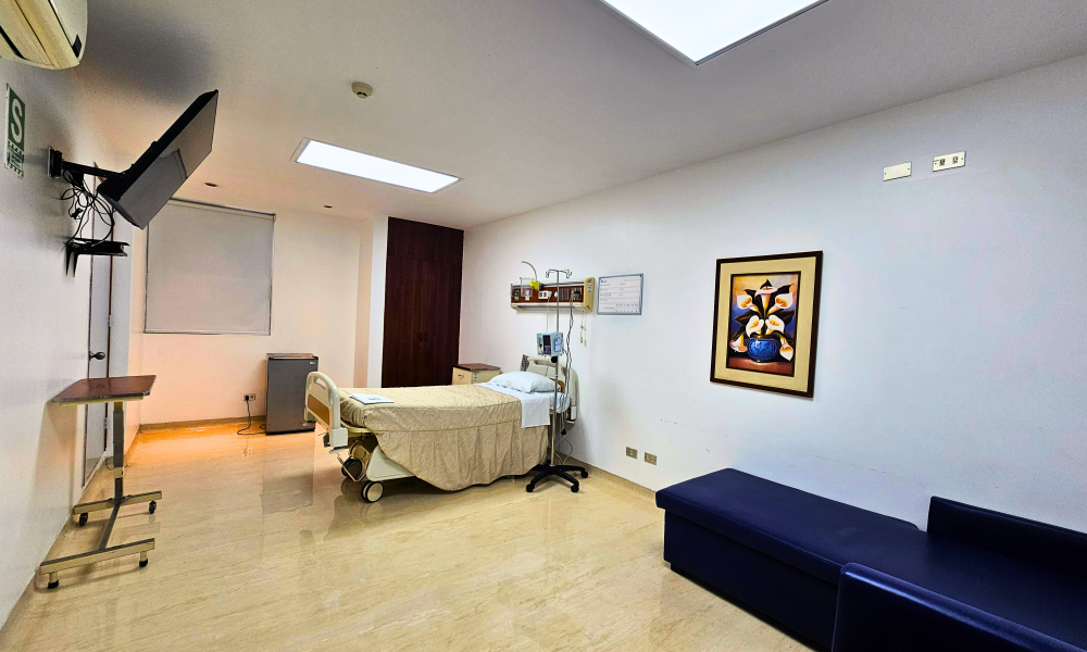 cama suite vesalio (2)